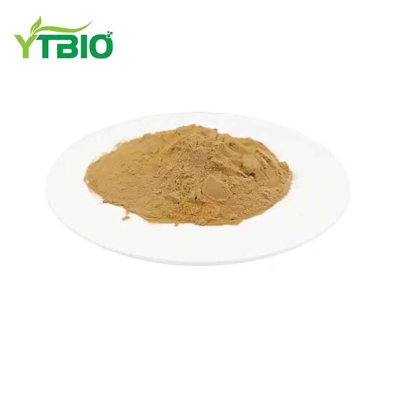 Devil’s Claw Extract Powder